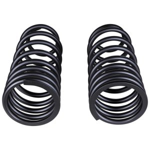 COIL SPRING REAR SUITS PRADO 250