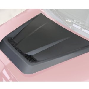 Hood scoop Air Design