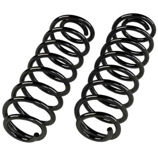 Rear coil springs TeraFlex Lift 2,5"