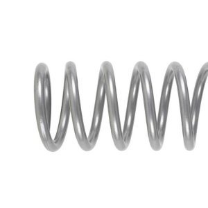Front coil springs Rubicon Express Lift 2,5"
