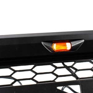 Grille with Ford emblem and LED lights OFD
